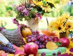 Cornucopia 