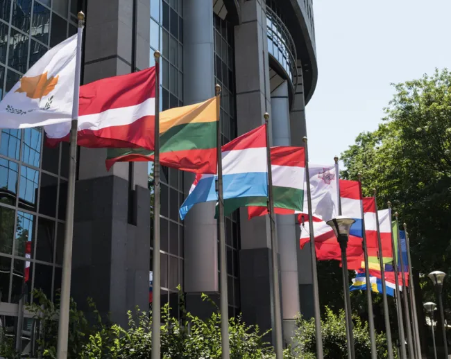 Flags in a row in front of building